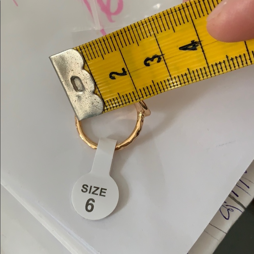 RESTOCKED NSEW compass ring in gold - Picture 8 of 8